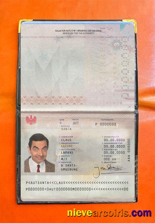 Austria passport photolook